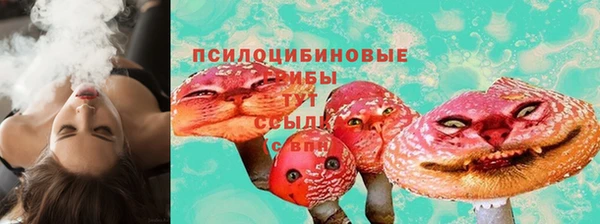 тгк Абдулино