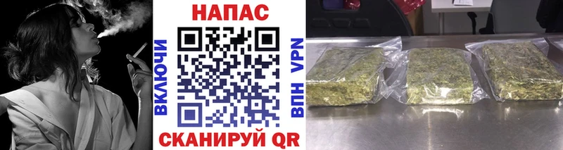 omg ССЫЛКА  Зубцов  Бошки Шишки VHQ  где найти наркотики 